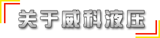 供應國標、非標315噸液壓機